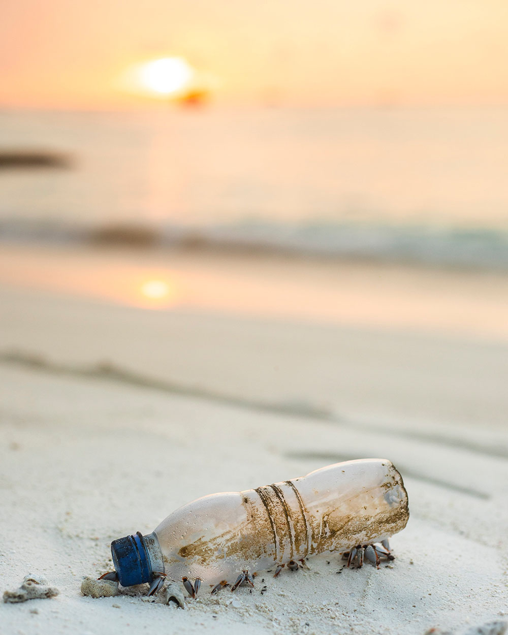 Botella de plástico de un solo uso en la playa